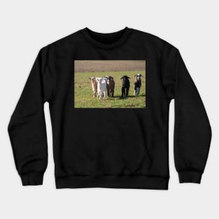 Wait for us! Crewneck Sweatshirt